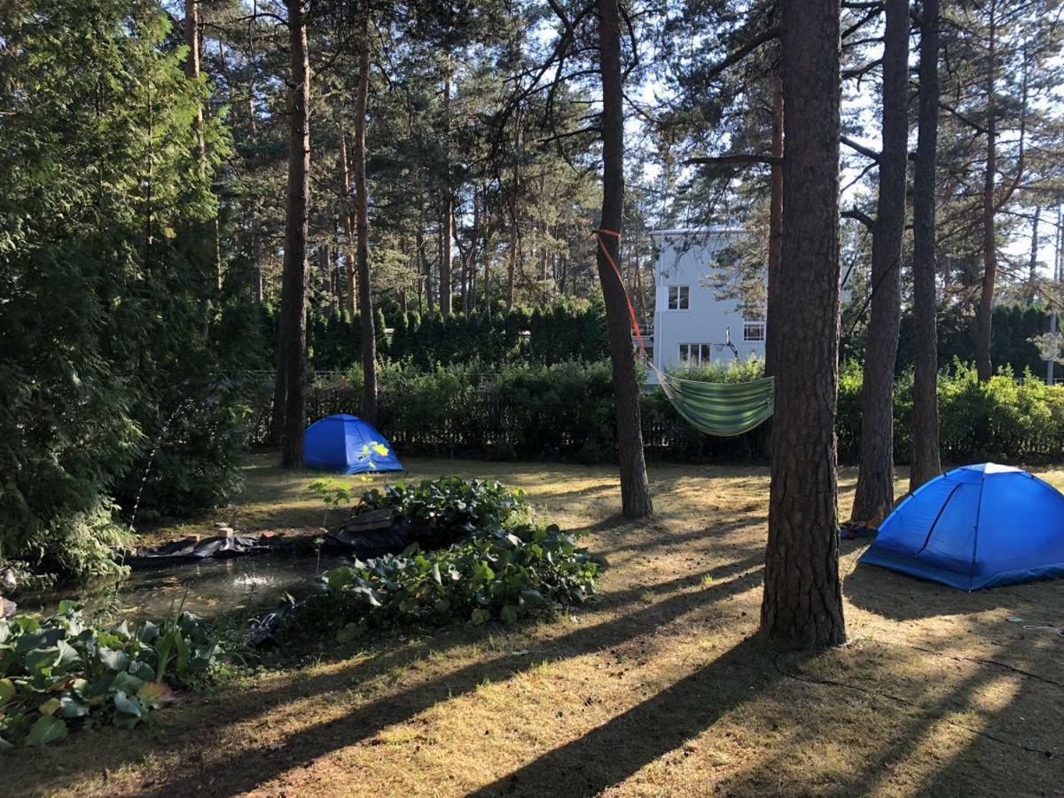 Freedom65 Hostel And Caravan Tallinn Exteriör bild